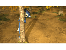 little in forest4.png
