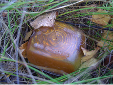 PICT0002.JPG