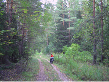 PICT0004.JPG
