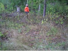 PICT0020.JPG