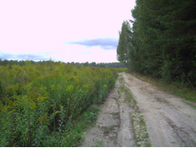 PICT0026.JPG