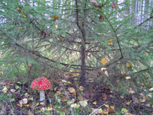 PICT0030.JPG