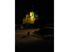 IMG_8528.jpg