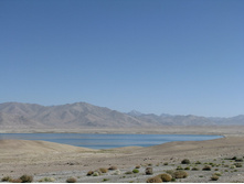 MG_5124.jpg