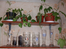 DSCF2987.JPG