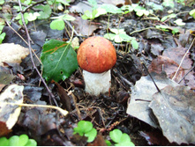 DSCF3854.jpg