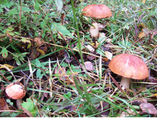 DSCF3868.jpg