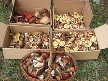 DSCF3875.jpg