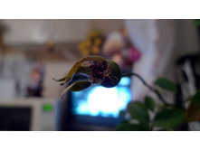 P1000030_.JPG