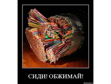 x_7268f317.jpg