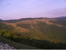 CIMG6284.JPG