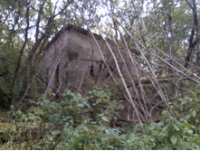 DC110926020.jpg