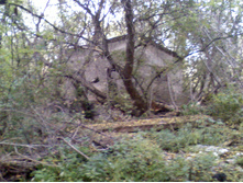 DC110926022.jpg