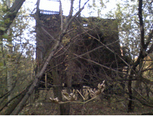 DC110926024.jpg