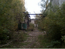 DC110926035.jpg