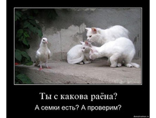 dem_18_03_09-09.jpg