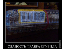 1294819148_dmeotivatory_09.jpg