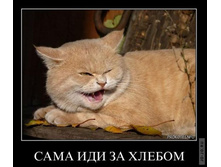 1294819304_dmeotivatory_15.jpg