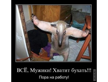 1294819458_dmeotivatory_33.jpg