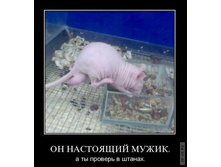 1295430821_demotiw5.jpg