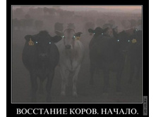 1295430827_demotiwg.jpg