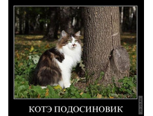 1295430836_demotiw2.jpg