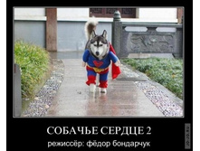 1295430837_demotivw.jpg