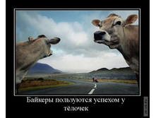 1295430846_demotivi.jpg