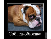 1295430864_demotivf.jpg