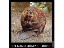 1295430866_demotiwb.jpg
