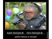 1295430871_demotiw7.jpg