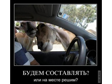 1295430878_demotiwk.jpg