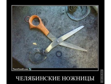 1295430897_demotiwl.jpg