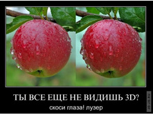 1296620108_demotivatory_12.jpg