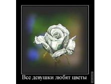 1296620227_demotivatory_19.jpg