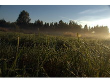 _DSC0703