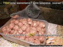 1001646.jpg