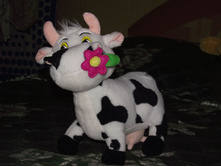 DSCF0510.JPG