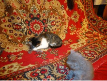 DSC00164.JPG
