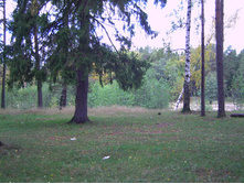 PICT0045.JPG