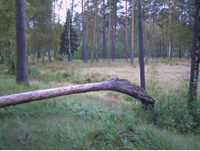 PICT0054.JPG