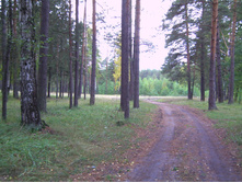 PICT0055.JPG