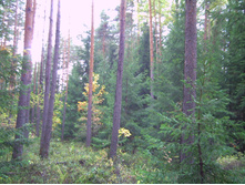 PICT0067.JPG