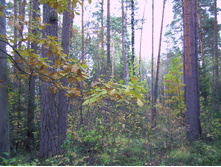 PICT0073.JPG