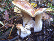 PICT0074.JPG