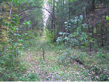 PICT0080.JPG