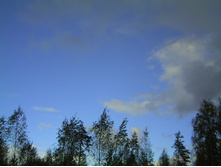 PICT0086.JPG