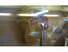 IMAG0710.jpg