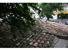 P1180804.JPG