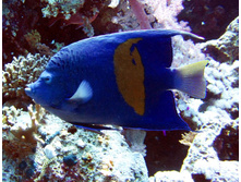 IMG_2760.JPG